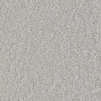 Draufsicht Girloon Cloud 501 Velours Teppichboden